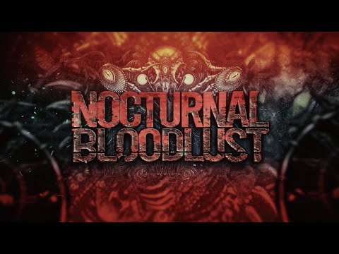 NOCTURNAL BLOODLUST – Straight to the sky (feat. Luiza) (Lyric Video)